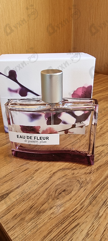 Парфюмерия Eau De Fleur De Prunier Plum от Kenzo