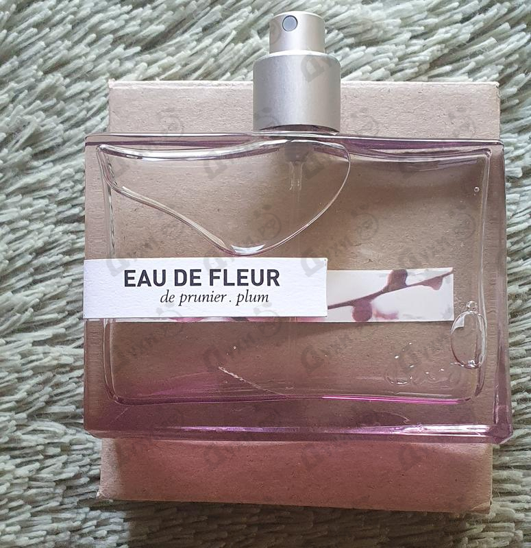 Отзыв Kenzo Eau De Fleur De Prunier Plum