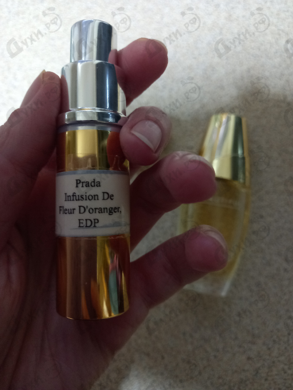 Отзыв Prada Infusion De Fleur D'oranger